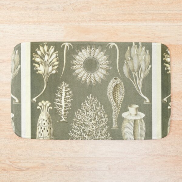 Item preview, Naturalist Sponges designed and sold by BlueSpecsStudio.