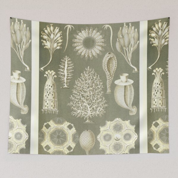 Item preview, Naturalist Sponges designed and sold by BlueSpecsStudio.