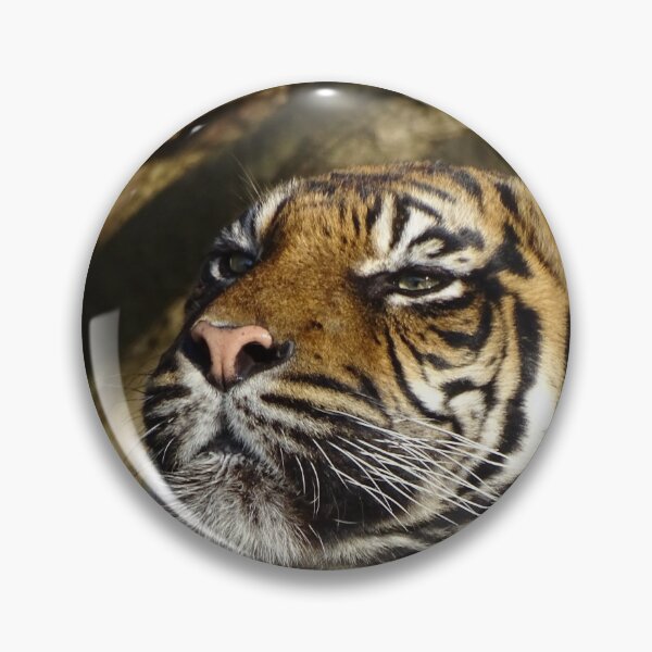 Item preview, Tiger In The Sun designed and sold by Catavan.
