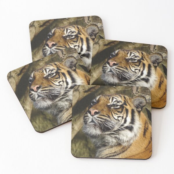 Item preview, Tiger In The Sun designed and sold by Catavan.