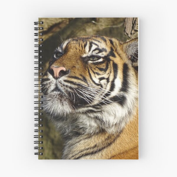 Item preview, Tiger In The Sun designed and sold by Catavan.