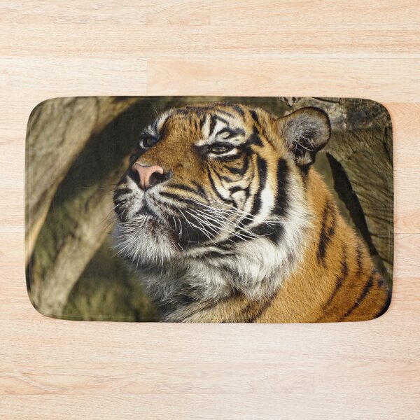 Item preview, Tiger In The Sun designed and sold by Catavan.
