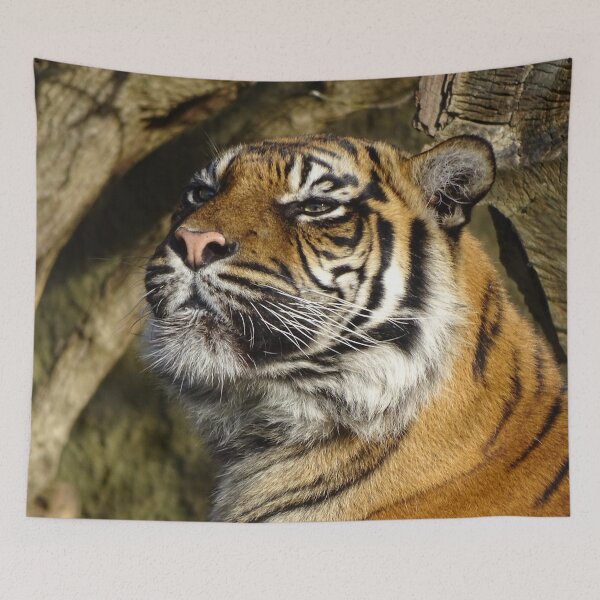Item preview, Tiger In The Sun designed and sold by Catavan.