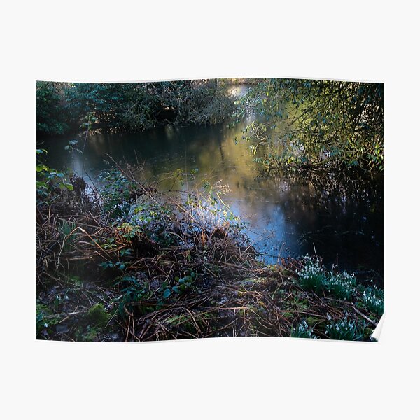 Light on the lake Poster