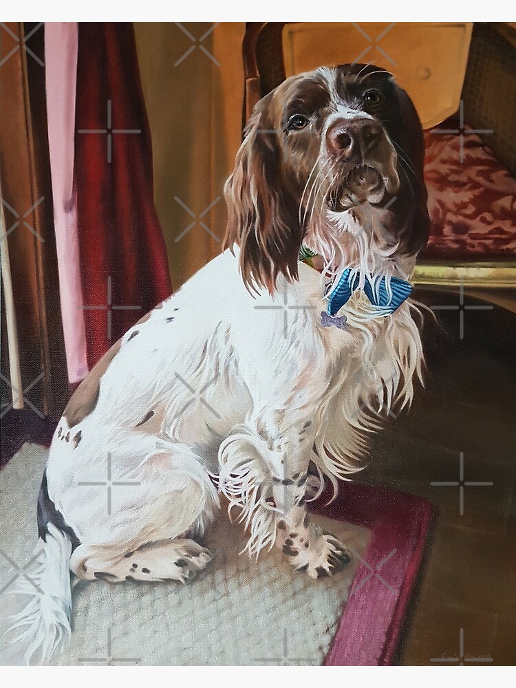 Springer Spaniel portrait by EmilyBickell