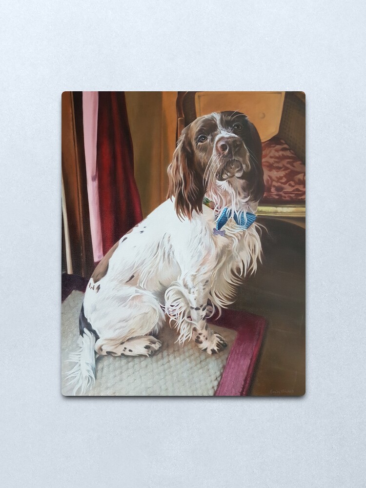 Alternate view of Springer Spaniel portrait Metal Print