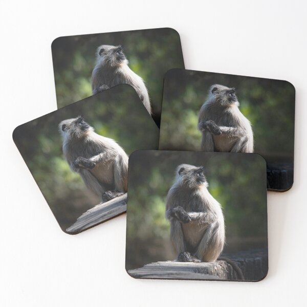 Item preview, Langur basking in the sun designed and sold by Pravine Chester.