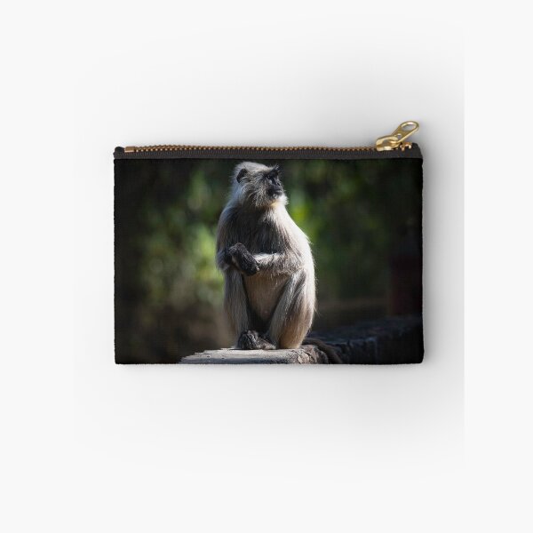 Item preview, Langur basking in the sun designed and sold by Pravine Chester.
