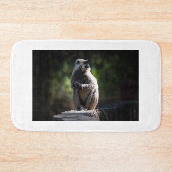 Item preview, Langur basking in the sun designed and sold by Pravine Chester.