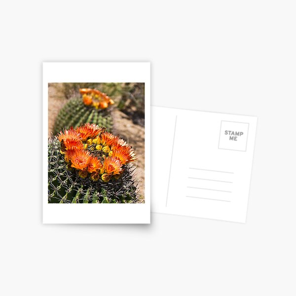 Vista previa del artículo con la obra «Orange Bloom», diseñado y vendido por Rob Atkinson.