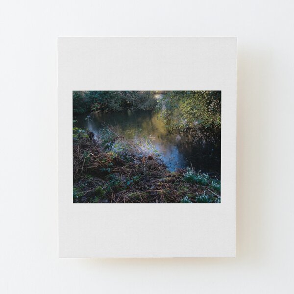 Light on the lake Wood Mounted Print