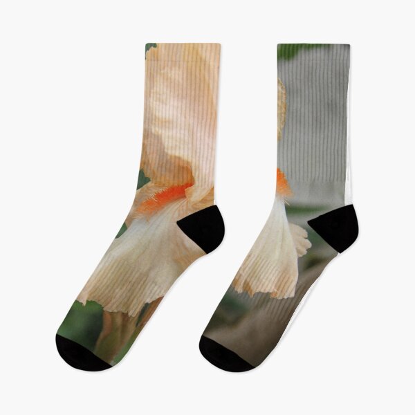 Item preview, Salmon orange pastel iris spring flower	 designed and sold by EstelleRossetti.