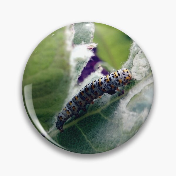 Item preview, I am a butterfly! designed and sold by Gourmetkater.