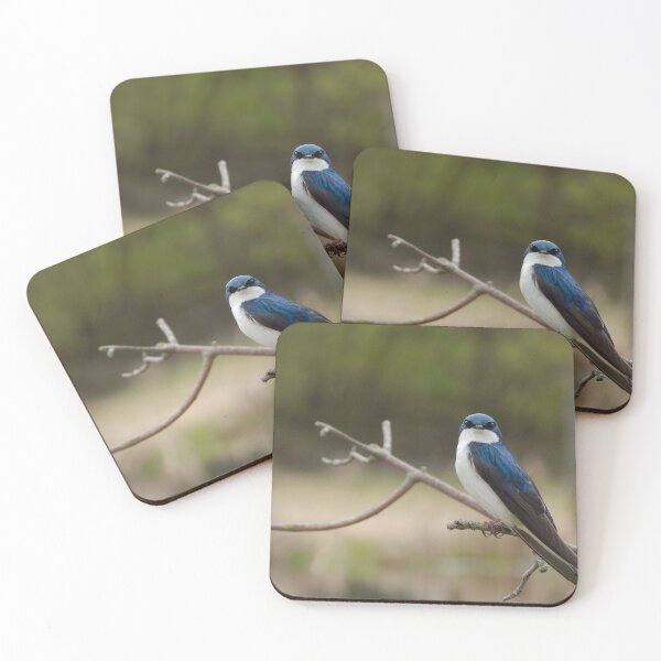 Item preview, Perched barn swallow designed and sold by Retaining Focus.