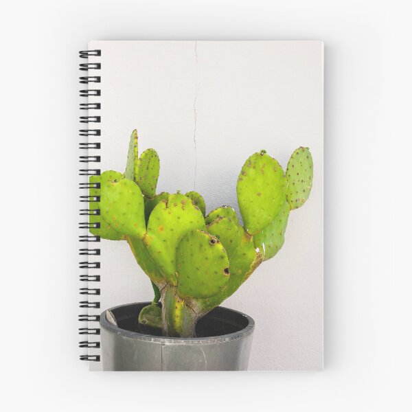 Item preview, Prickly Pear Cactus and a Cracked Wall designed and sold by Chee Sim.