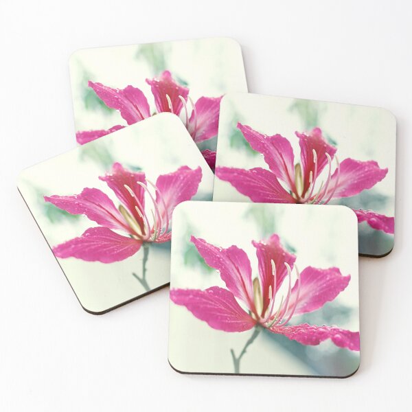 Item preview, Bauhinia flower after rain designed and sold by Anna Ratkevich.