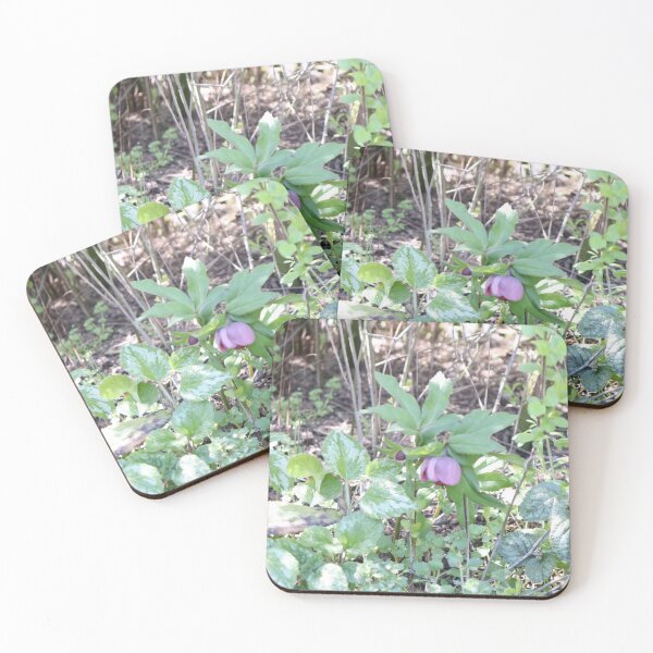 Item preview, Miniature forest designed and sold by BecauseYouCan.