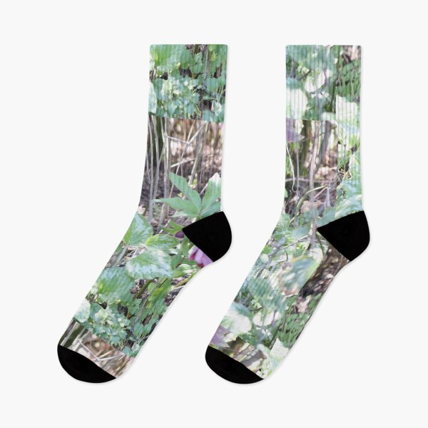 Item preview, Miniature forest designed and sold by BecauseYouCan.