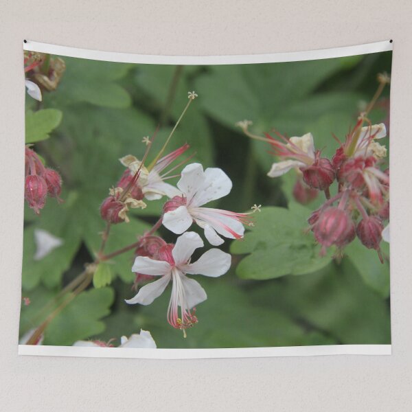 Item preview, Pastel purple geranium perennial plant	 designed and sold by EstelleRossetti.