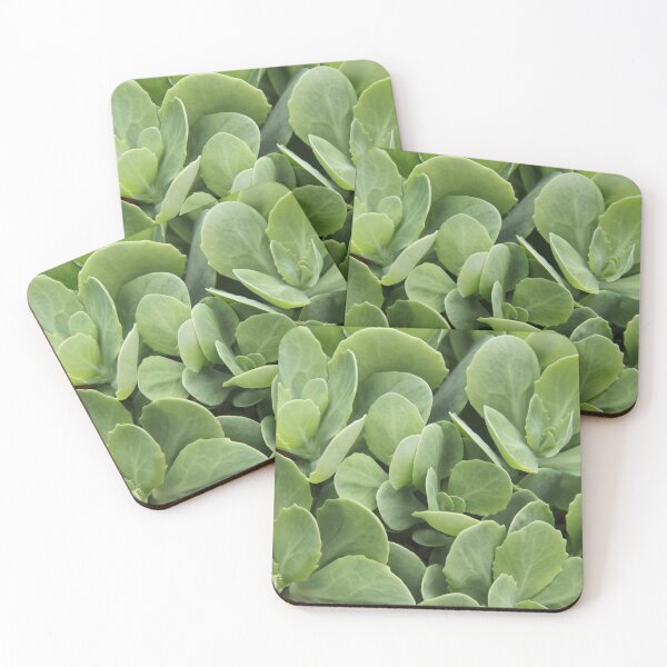 Item preview, Sedum perennial fleshy purple decorative plant	 designed and sold by EstelleRossetti.