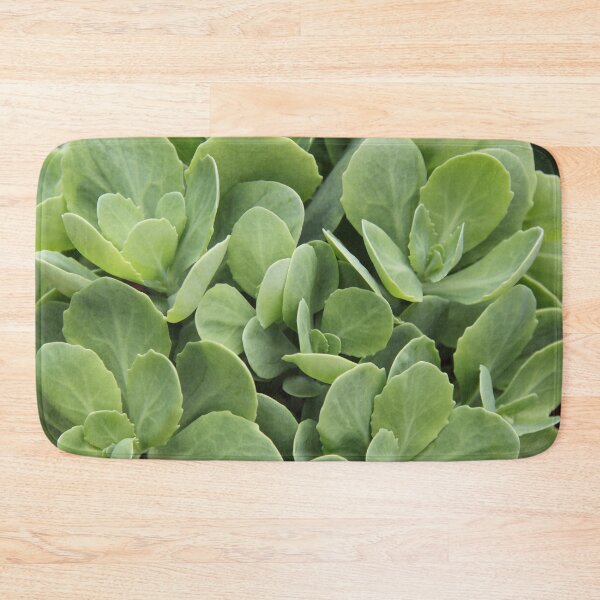 Item preview, Sedum perennial fleshy purple decorative plant	 designed and sold by EstelleRossetti.