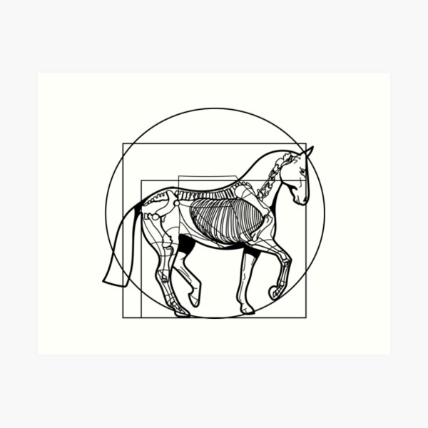 Item preview, Da Vinci Horse Design designed and sold by Pappistore.