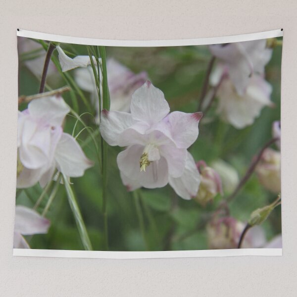 Item preview, Colorful pastel columbine granny's bonnet spring wildflowers	 designed and sold by EstelleRossetti.