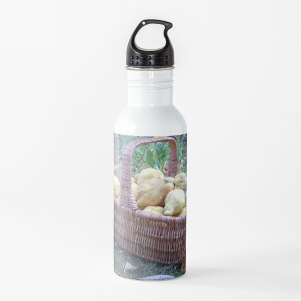 Quitten im Korb Trinkflasche