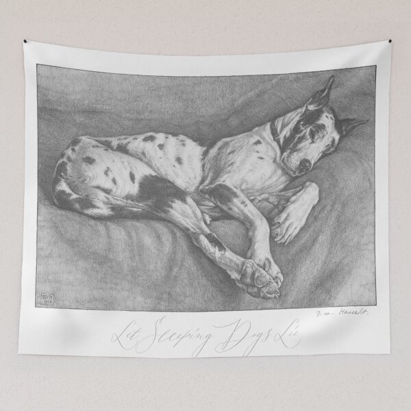 Item preview, Great Dane pencil drawing circa 1930  designed and sold by ebrawne.