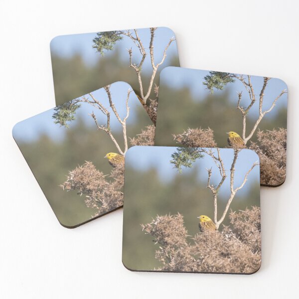 Item preview, Yellowhammer designed and sold by LaurenTucker.