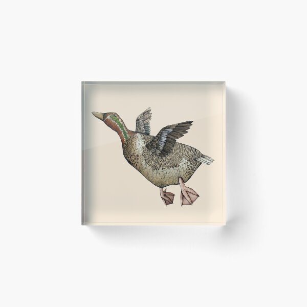 Item preview, Teal Duck designed and sold by mikelevett.
