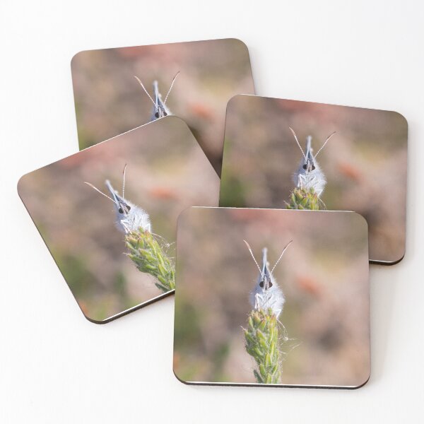 Item preview, Silver Studded Blue designed and sold by LaurenTucker.
