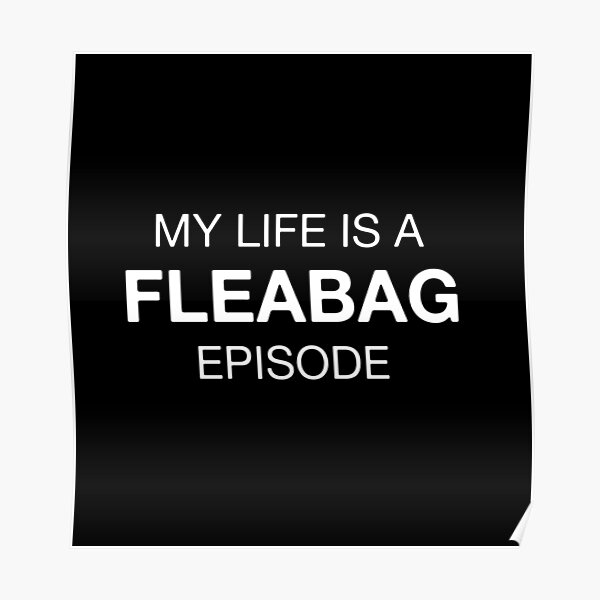 My life is a FLEABAG episode Poster
