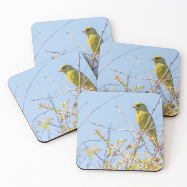 Item preview, Greenfinch designed and sold by LaurenTucker.