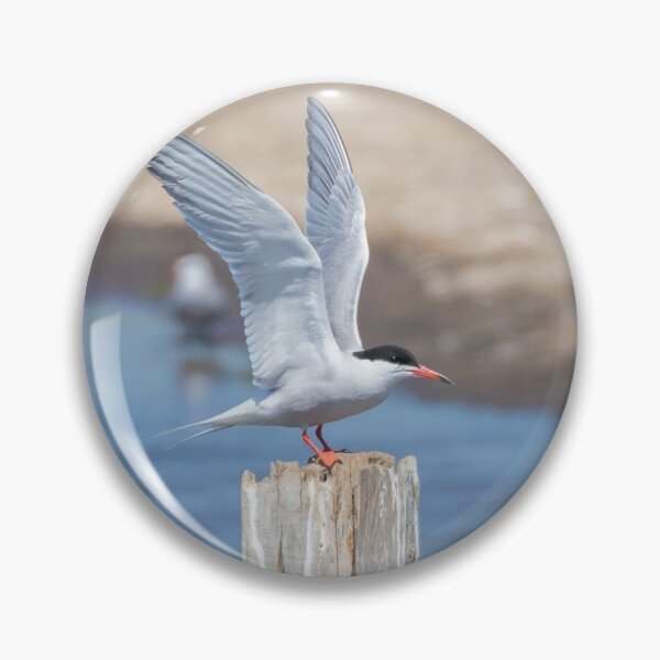 Item preview, Common Tern designed and sold by LaurenTucker.