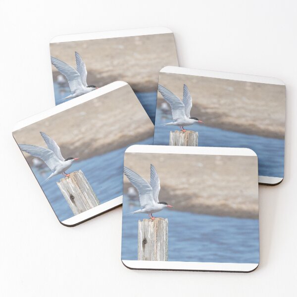Item preview, Common Tern designed and sold by LaurenTucker.