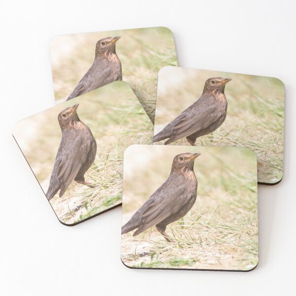 Item preview, Blackbird designed and sold by LaurenTucker.