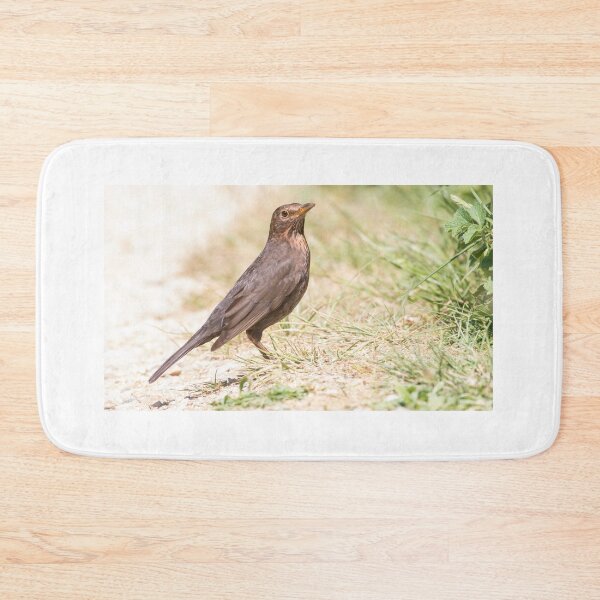 Item preview, Blackbird designed and sold by LaurenTucker.