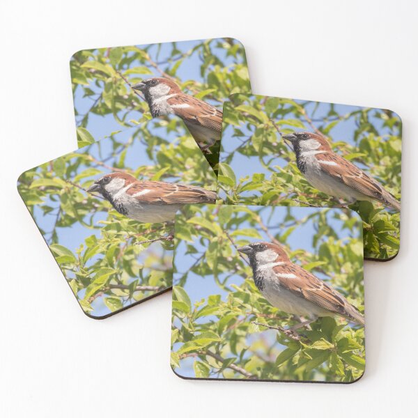 Item preview, House Sparrow designed and sold by LaurenTucker.