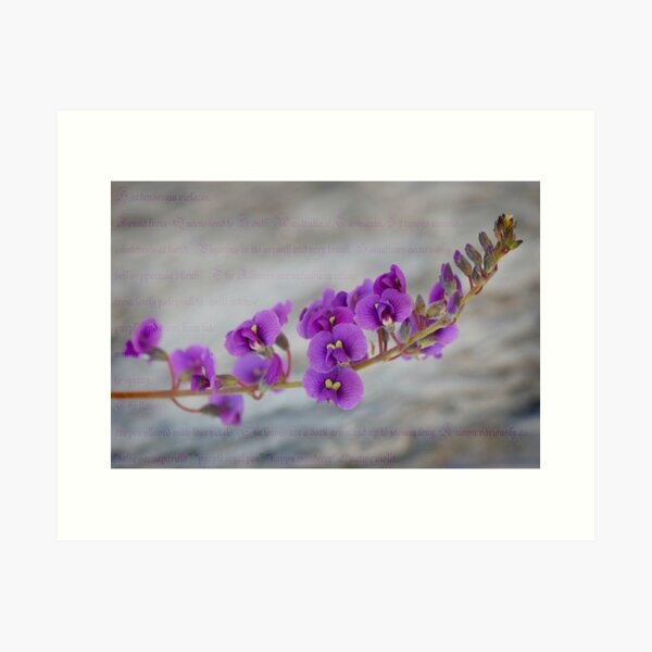 Item preview, Happy Wanderer - Hardenbergia designed and sold by pcbermagui.