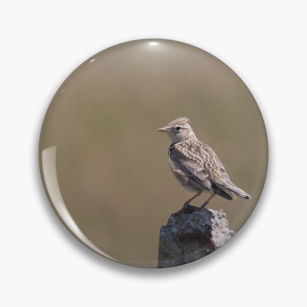 Item preview, Skylark designed and sold by LaurenTucker.
