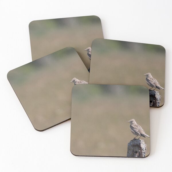 Item preview, Skylark designed and sold by LaurenTucker.