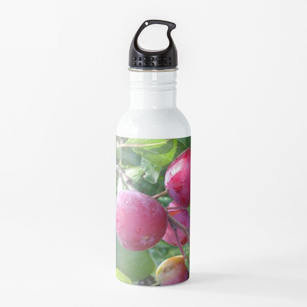 Schöne Renekloden Trinkflasche