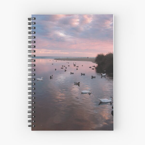 Item preview, A quacky sunset designed and sold by miradorpictures.