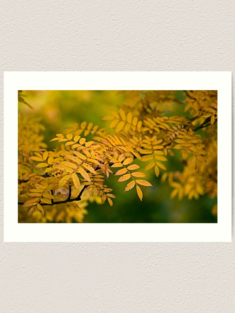 Alternate view of Gold and Green Art Print
