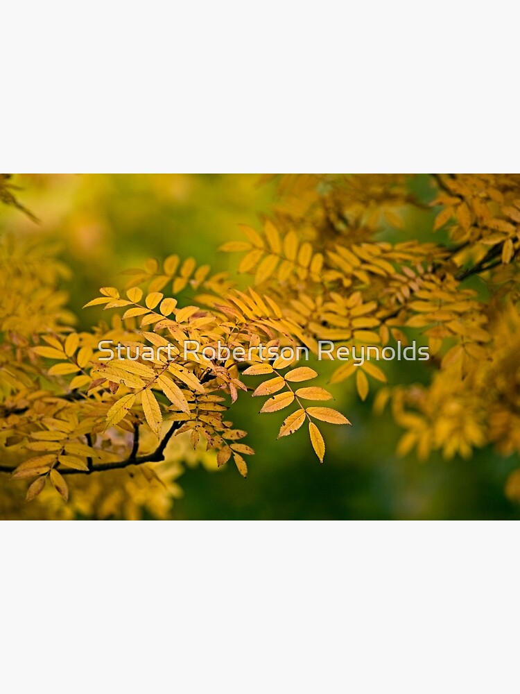 Gold and Green by Sparky2000