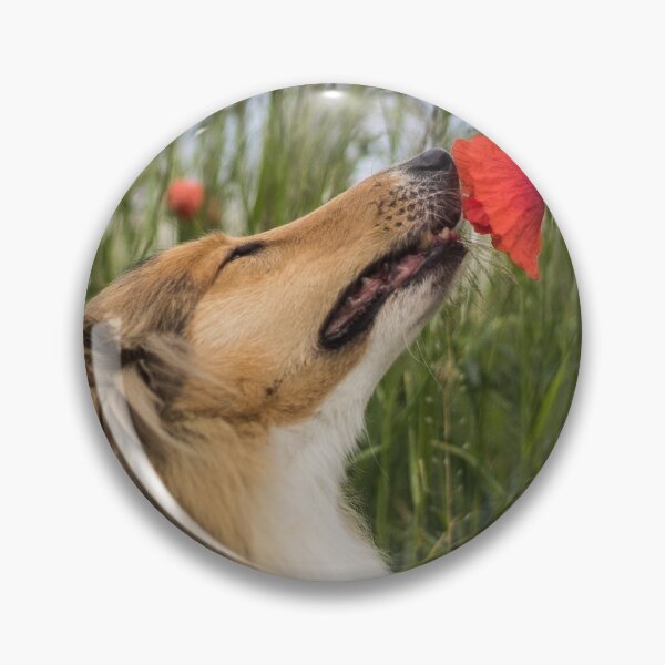 Item preview, Cute rough collie sniffing to a poppy designed and sold by CrunchyCableStudio.