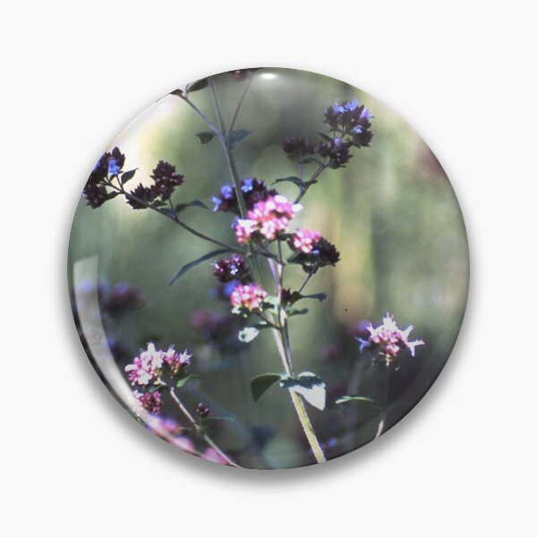 Item preview, Blooming oregano designed and sold by Gourmetkater.