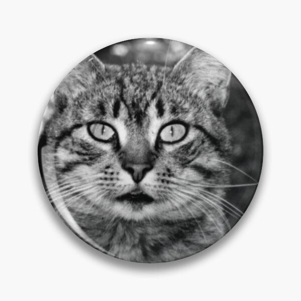 Tiger Tom Pin