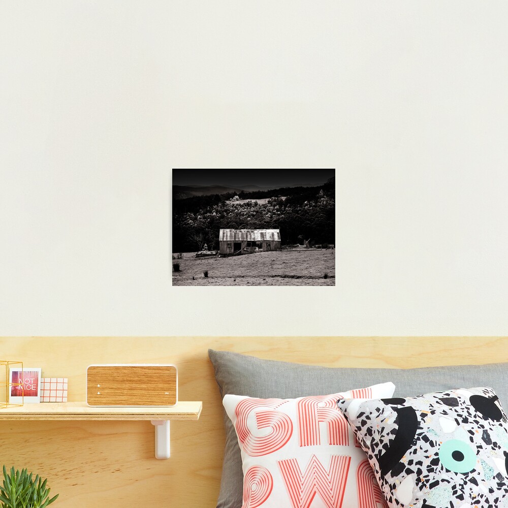Old Huon Hut Photographic Print